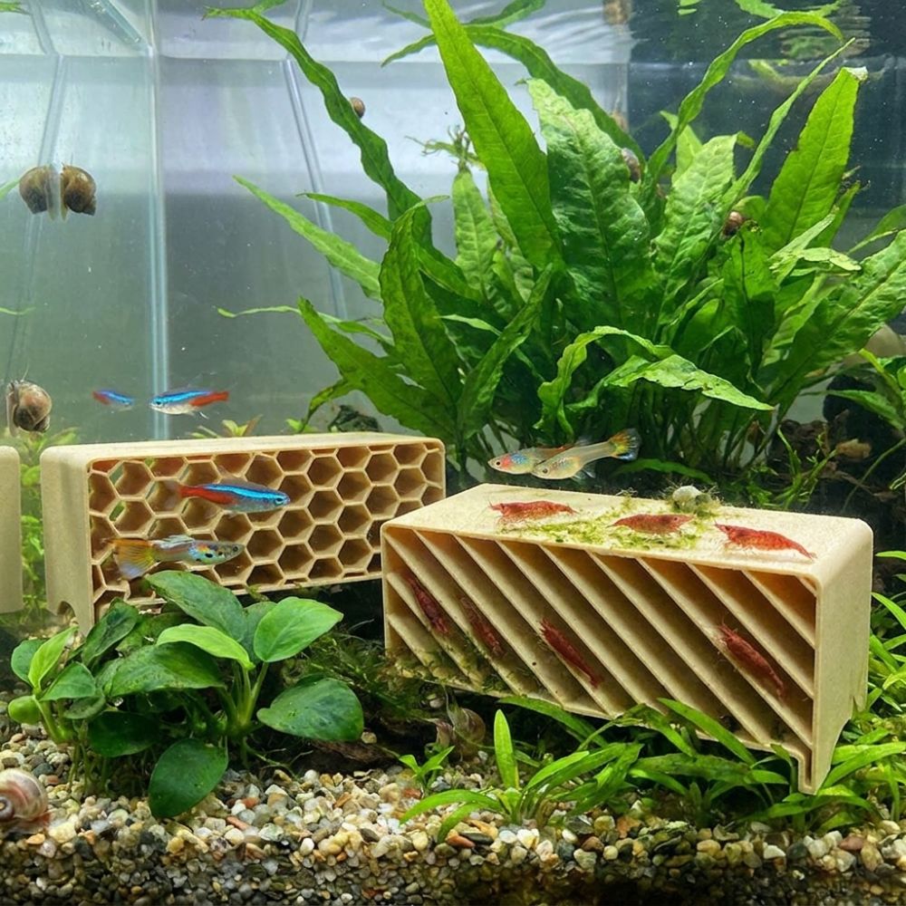 3D Printed Fish Shrimp Hideout - огляд і ціна Home Security Measures